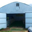 담쟁이농장 이미지