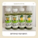 아침 공복에 건강을 채우는 한 병🍋 풀무원녹즙 데일리클렌즈