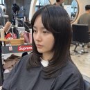 로이드밤 네이버블로그