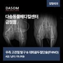 기장동물병원 | 기장동물병원 심한 통증과 파행이 동반 된 급성 고관절 탈구, 수술로 일상 복귀한 4살 비숑의 이야기
