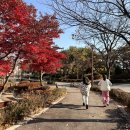 산학협력관 | 고양 한국항공대 항공우주박물관 | A300 기내 체험,조종사•승무원 체험 후기