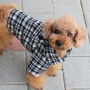3101 쇼핑하우