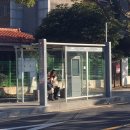 송월민박 | [애월숙소] 준용하우스 민박(마지막희망게스트하우스) 숙박후기