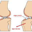 누리동물병원 이미지