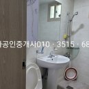 금와공인중개사사무소 이미지