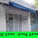 초림초교 앞 이미지