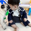 온아설기 | 0세반아기 어린이집 생일파티 후기