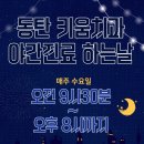 동탄키움치과의원 네이버블로그