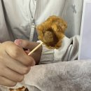 코코 옛날통닭 네이버블로그