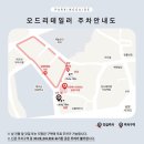 Wedding 5. 오드리테일러 후기 (제주스냅, 웨딩스냅) 그리고 제주스냅 비용 총 정리