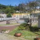 다빈생활문화공동체협동조합 | 2025 서울시 중장년 넥스트로컬 | 강진 지역자원 조사 후기 ①