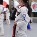 유아태권도 이미지