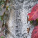 덕영대로 1323번길 이미지