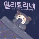 스폰지밥 ‘징징이’ 그는 과연 문어일까 오징어일까 혹은 낙지일까? 이미지