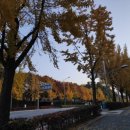 갈대숲소리, 플룻 이미지