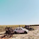 브로모터스 이미지