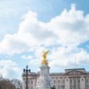 로얄(ROYAL) 이미지