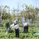 성동농장 이미지