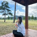 낙동로 | 양산 황산공원 푸릇푸릇한 9월 피크닉 후기