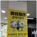 마인드골프 부산명지점 | 명지 하단 골프샵 브릿지스톤 V300 9세대 여성 중고 아이언 구매한 후기