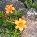 지리산하늘한옥 이미지