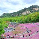 2024 불암산 철쭉제 다시, 봄