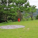 더포레스트 이미지