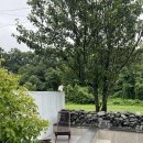 세븐일레븐 용인청명점 | 애견동반 춘천 여행 - 금산다락 / 삼악산 케이블카 / 통나무집닭갈비 / 감자밭 / 세계주류마켓