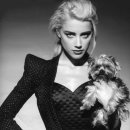 애견사랑 이미지