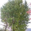 구만초등학교 이미지