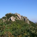 경일목장 이미지