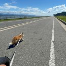 김동권 독 트레이닝센터 이미지