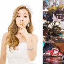 라스베가스노래방 이미지