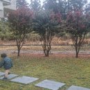 푸른숲리조트 네이버블로그