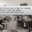 번개식당 - 구미시 | 번개식당
