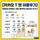 역전의 댕댕이 펫택시 | 🐾 [카카오 T 펫 이용후기] 댕댕이와 함께하는 이동! 예약부터 탑승까지 후기 🚕