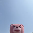 곰반점