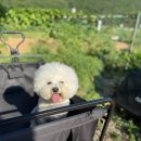 놀부오토