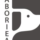 페이보리잇 이미지