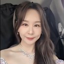 리바이벌 이미지