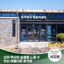 신라 역사의 숨결을 느낄 수 있는 아름다운 포석정 | 경주시 SNS 알리미 서지현