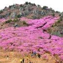 버든농장 이미지