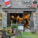하삼동커피꽃