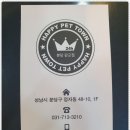 해피애견타운분당