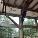 소로3-119 | 목포 이색카페 추천 동굴카페 씨크릿&amp;유달산장 치앙마이 감성 포레스트 카페 후기