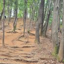 필봉산 주차장 | 동탄 등산 코스 추천 필봉산 등반 후기