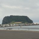 해월정매점 | 완도여객선터미널 제주도 당일치기여행 -2(제주도 등대스탬프투어, 성산항에서 우도 가는 법)