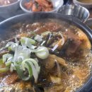 멋쟁이사 이미지