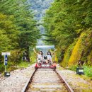 낭만느림보 이미지