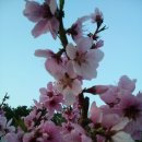 우리농장2 이미지